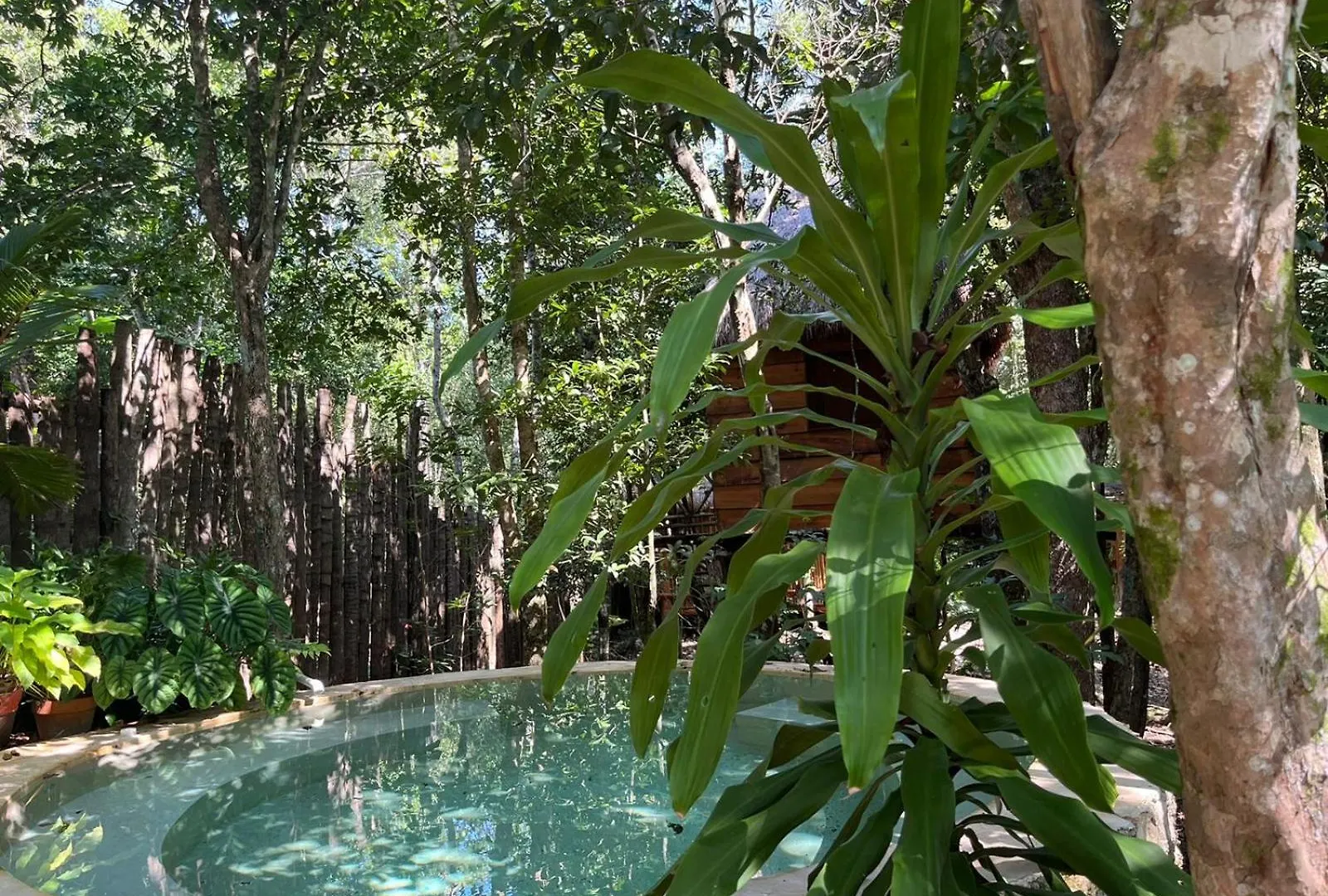 Selvaluna Cabana Eco-Chic Tulum Villa