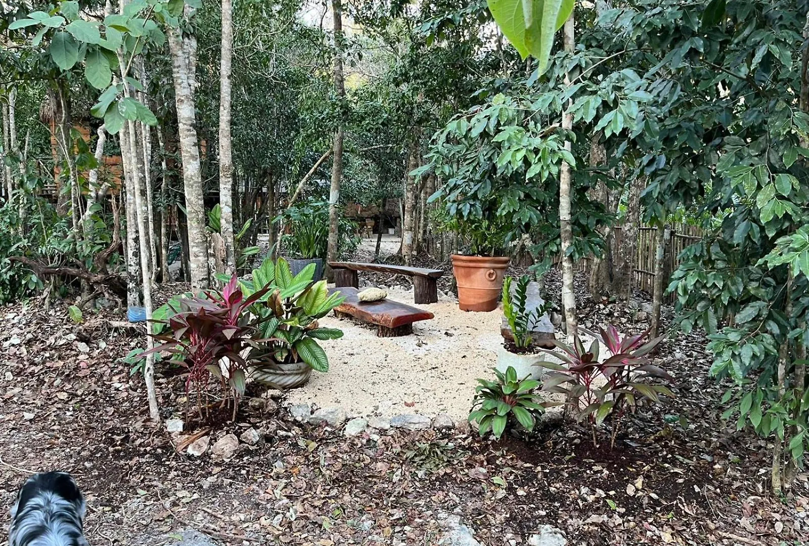 Villa Selvaluna Cabana Eco-Chic Tulum Mexique