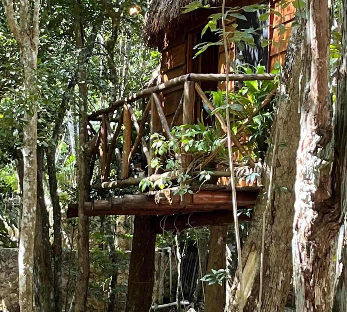 Villa Selvaluna Cabana Eco-Chic Tulum